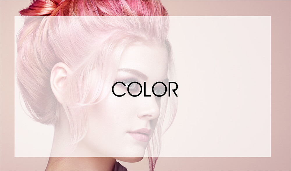 Maxx Studio Hair Color